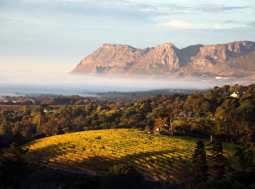 As vinícolas de regiões como Stellenbosch e Franschhoek