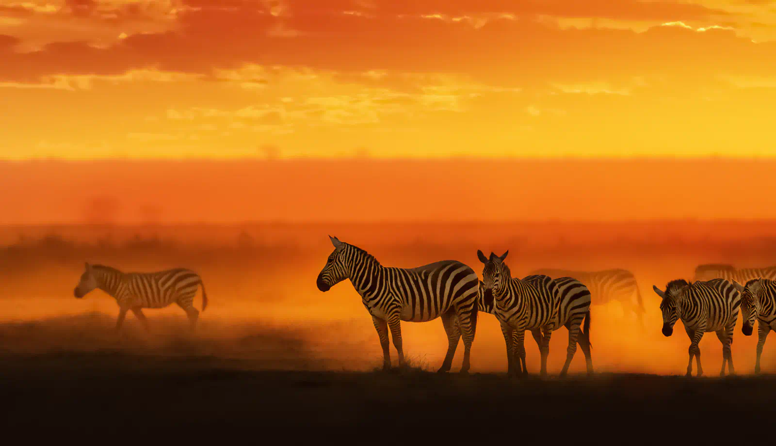 Parque Nacional Amboseli, Quênia