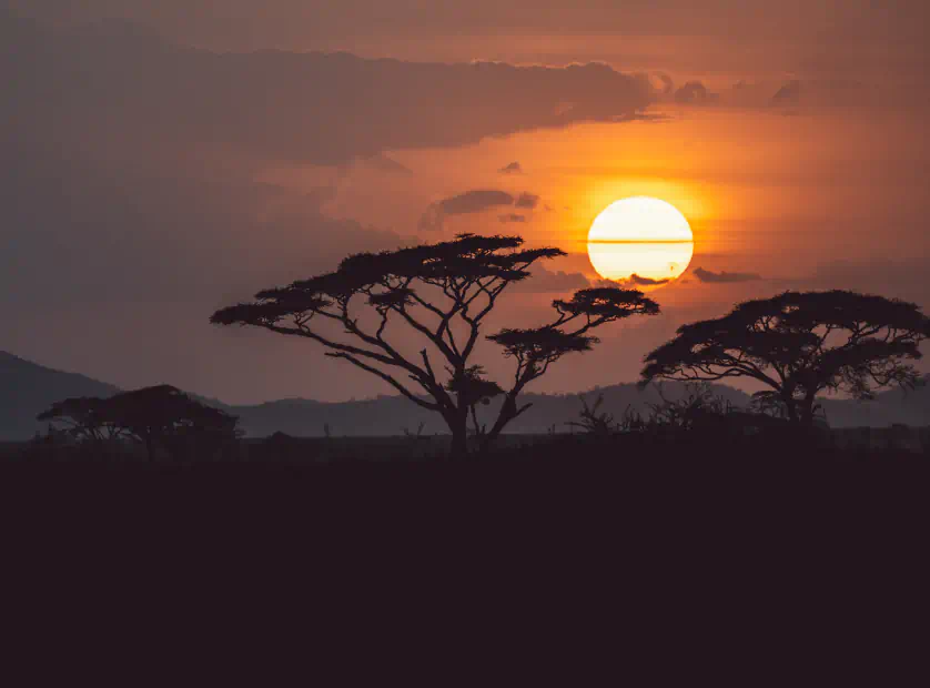 Porque ir à África