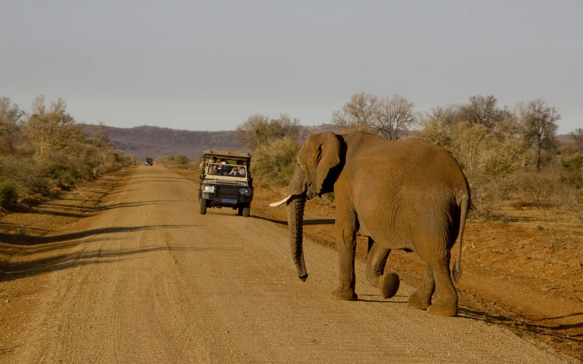 Madikwe Game Reserve