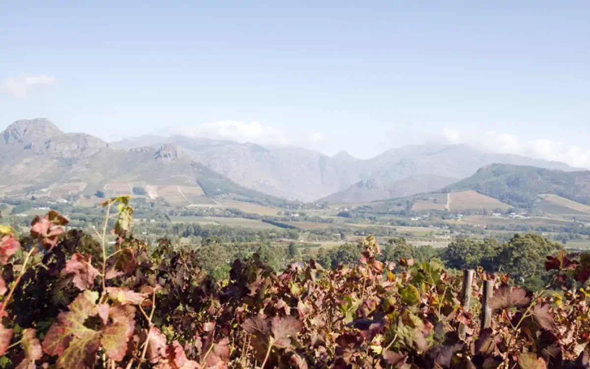 Vinho África do Sul